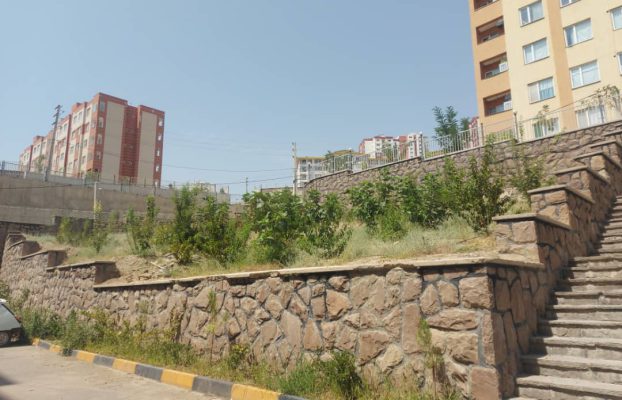 WhatsApp Image 2024-12-26 at 20.11.14